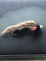 IMG_5198.jpeg