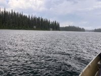 IMG_6934.jpeg