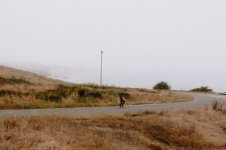 2024_TMcSweeney_California-1.jpg