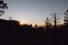 2024_TMcSweeney_California-35.jpg