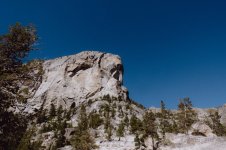2024_TMcSweeney_California-154.jpg