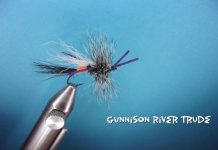 Gunnison River Trude.jpg