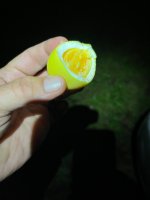 IMG_2472.jpeg