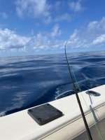 IMG_1878.jpeg