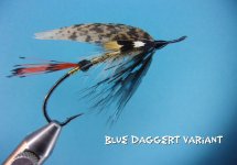 Blue Daggert.jpg
