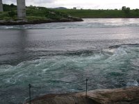 Saltstraumen.jpg Saltstraumen.jpg