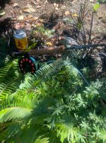 IMG_4464.jpeg