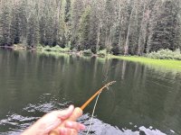 IMG_1862.JPG IMG_1862.JPG