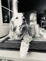 IMG_4513.jpeg