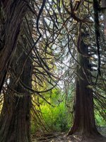 IMG_5084.jpeg