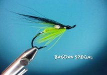 Bogdon Special.jpg