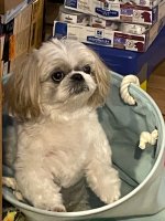 IMG_0893.jpeg