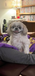 IMG_0449.jpeg