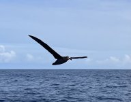 IMG_2551.jpeg