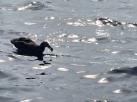 IMG_2536.jpeg