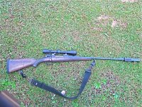 IMG_3498.jpeg