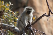 IMG_0014.jpeg