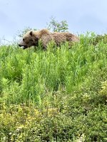 IMG_4987.jpeg