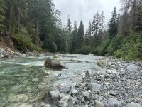 IMG_0226.jpeg