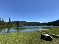 IMG_3167.jpeg