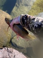 IMG_0548.jpeg