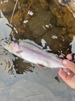 IMG_0426.jpeg
