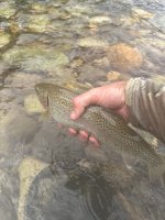 IMG_0264.jpeg