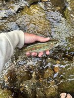 IMG_0110.jpeg