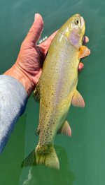 IMG_4531.jpeg