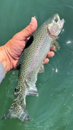 IMG_4533.jpeg