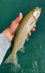 IMG_4538.jpeg