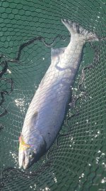IMG_5711.jpeg