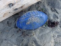 IMG_9024.jpeg