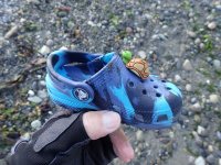 IMG_9022.jpeg