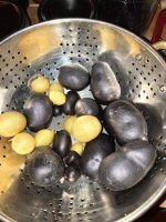 IMG_5473.jpeg