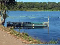 A03SaltwaterCrocTrap3309.jpg
