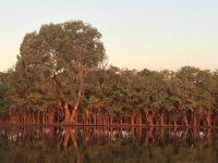 A05SunsetYellowWaters0536.JPG
