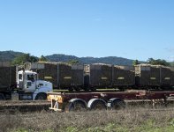 C06 P7290008TruckTrainCarsLoadedWithSugarCane.jpg