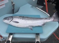 IMG_5717.jpeg IMG_5717.jpeg
