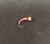 IMG_0610.jpeg