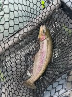 IMG_0603.jpeg
