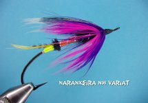 Naranxeira NW Variant.jpg