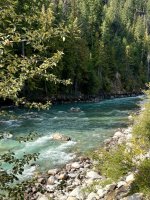 IMG_5270.jpeg