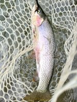 IMG_5273.jpeg