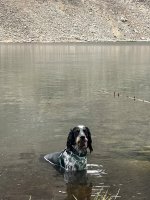 IMG_7309.jpeg