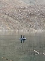 IMG_3741.jpeg