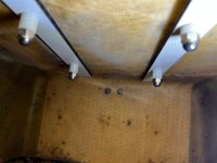 IMG_3770.jpeg IMG_3770.jpeg