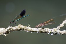 3F62984B-B20D-4AB9-AB43-4614C25456D1.jpeg