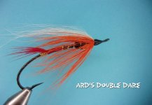 Ard's Double Dare.jpg