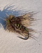 IMG_1100.jpeg